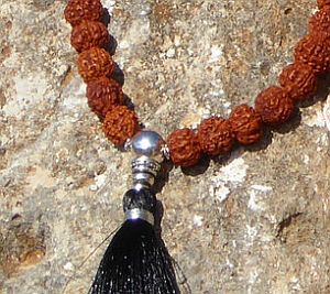 Bild "die Malakette:Rudrasha-300.jpg"